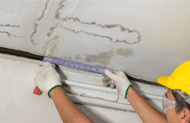 Reliable Mold Remediation contractor in Chalfont, PA by Water Damage Irwin